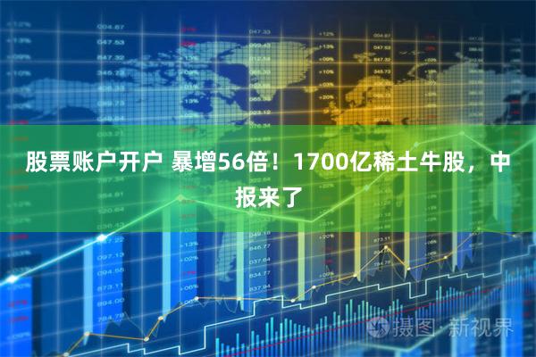 股票账户开户 暴增56倍！1700亿稀土牛股，中报来了