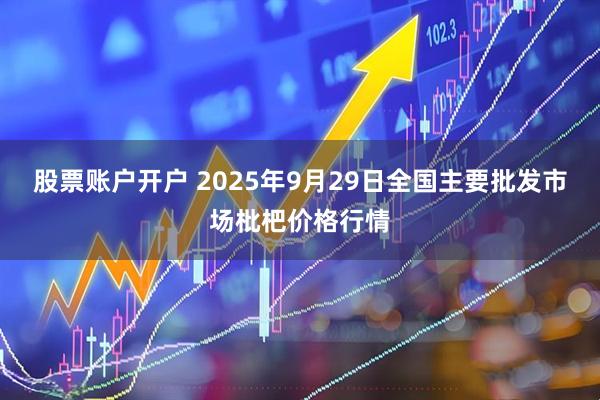 股票账户开户 2025年9月29日全国主要批发市场枇杷价格行情